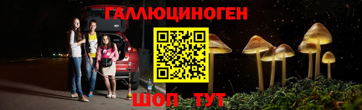 Псилоцибиновые грибы GOLDEN TEACHER Лысьва